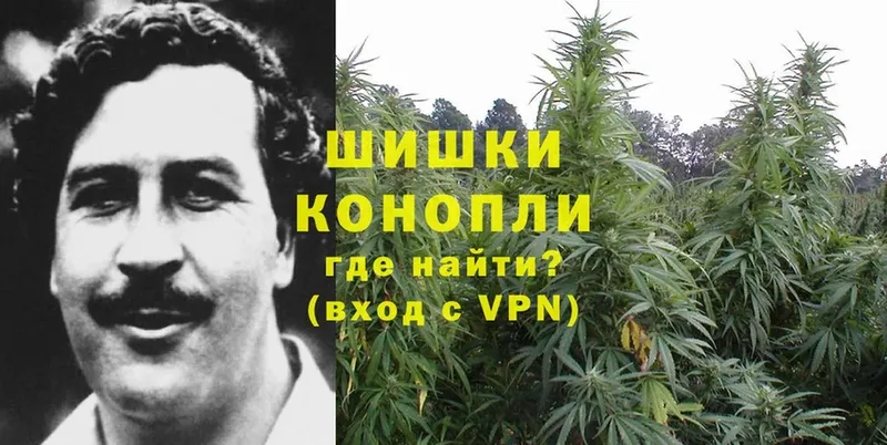 blacksprut как войти  что такое   Разумное  Конопля Bruce Banner 